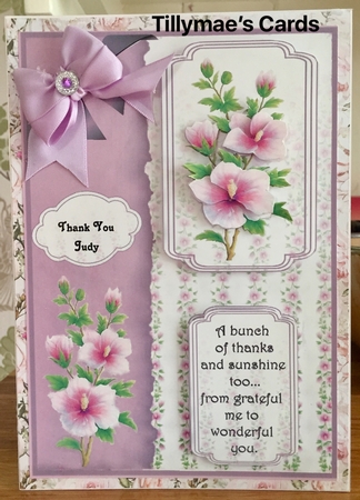 Flower and Verse Get Well/thank You by Suzanne Kavanagh