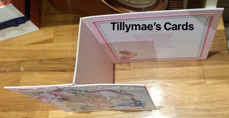Pretty in Pink 8x8 Mini Kit & Decoupage by Suzanne Kavanagh