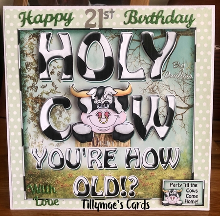 Holy Cow - you're How Old? by Suzanne Kavanagh