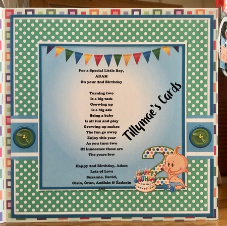 Boy 2nd Birthday by Suzanne Kavanagh