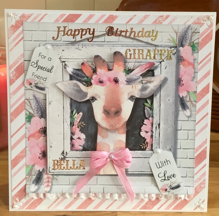 The Little Giraffe  by Suzanne Kavanagh