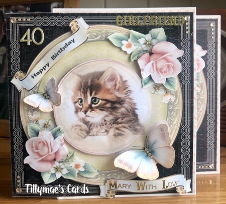 The cat brown by Suzanne Kavanagh
