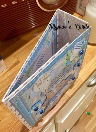 8 x 8 Insert For Baby Boy Is Blessing by Suzanne Kavanagh