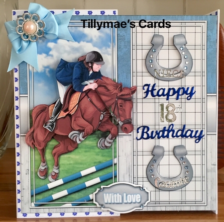Show Jumping 8x8 Mini Kit by Suzanne Kavanagh