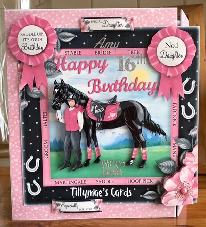 The Pony Club by Suzanne Kavanagh