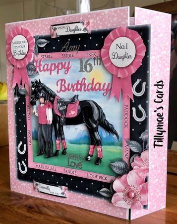 The Pony Club by Suzanne Kavanagh