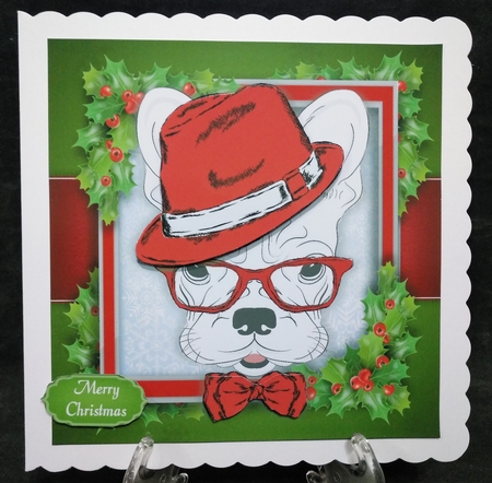 Red & White French Bulldog 8x8 by Suzi Cooper