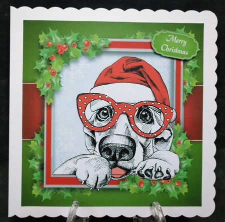 Black, Red & White Dog With Santa Hat 8x8 by Suzi Cooper