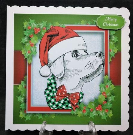 Black, Red & White Dog With Scarf 8x8 by Suzi Cooper