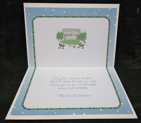 Crazy Christmas Puddings taking the Christmas Tree home and sign CAITLIN insert by Suzi Cooper