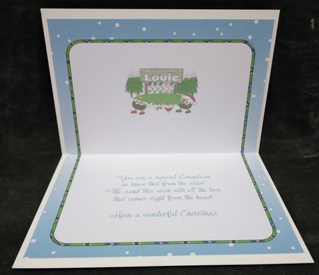 Crazy Christmas Puddings taking the Christmas Tree home and sign LOUIE insert by Suzi Cooper