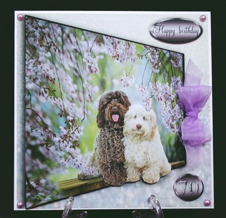 cockerpoos and flowers by Suzi Cooper