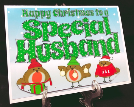 More Christmas Robins SPECIAL HUSBAND 5x7 by Suzi Cooper