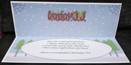 Christmas Spiderman GRANDSON J.J. large dl insert by Suzi Cooper