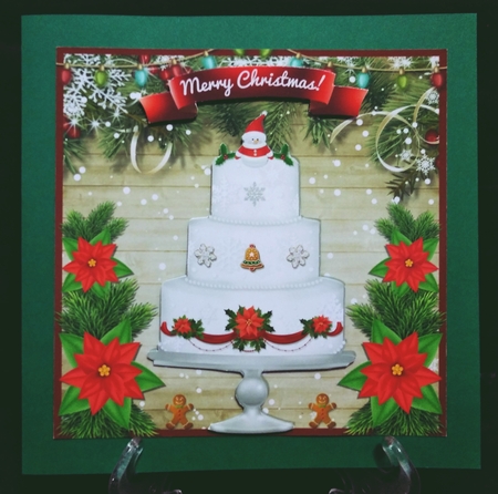 CHRISTMAS CAKE by Suzi Cooper