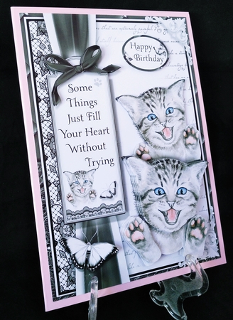 A5 Cats Bumper Kit by Suzi Cooper
