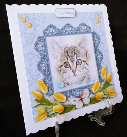 Tulip Cat Birthday Card by Suzi Cooper