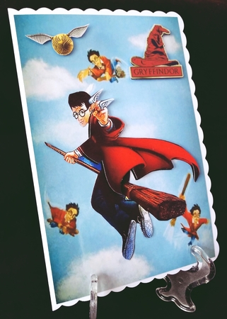 Harry Potter Bumper Kit Number 2 by Suzi Cooper
