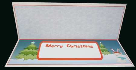 POLAR BEAR NAMES - INSERT by Suzi Cooper