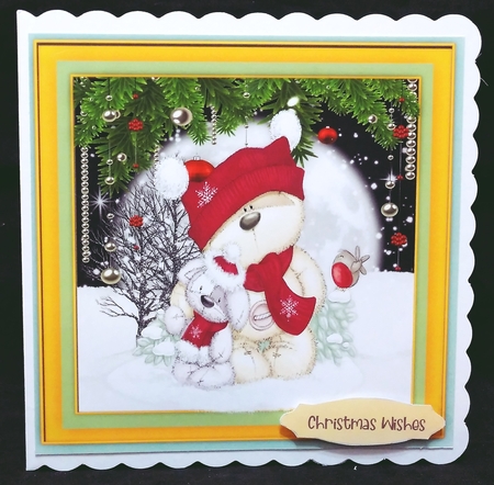 Teds Rabbit Friend  by Suzi Cooper