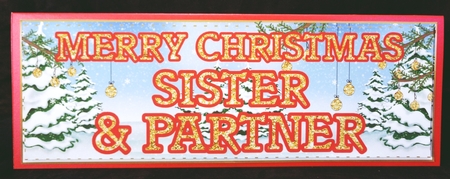 CHRISTMAS GLITTER - SISTER AND PARTNER by Suzi Cooper