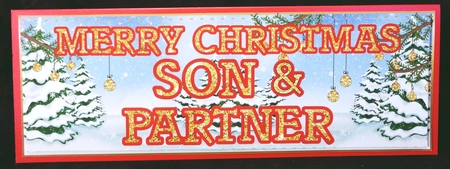 CHRISTMAS GLITTER - SON AND PARTNER by Suzi Cooper