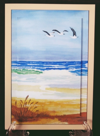 3 Gulls by Suzi Cooper