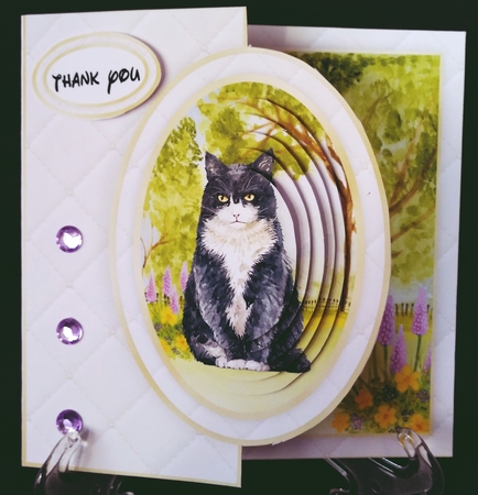 Cat Half Front Card Bumper Kit 3 by Suzi Cooper