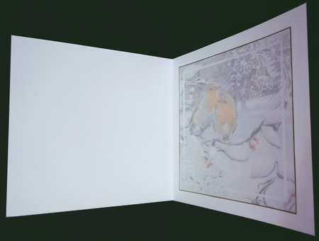 Christmas Snow Insert 1 by Suzi Cooper