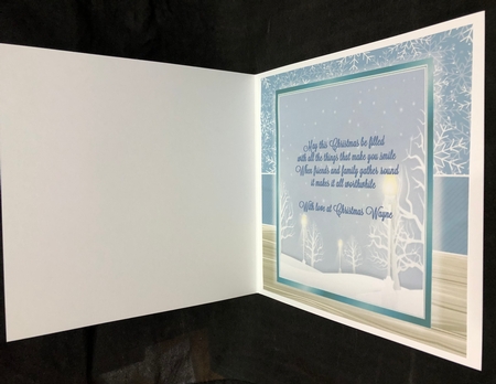 Blue Snowflake Insert Blank 8x8 by Suzi Cooper