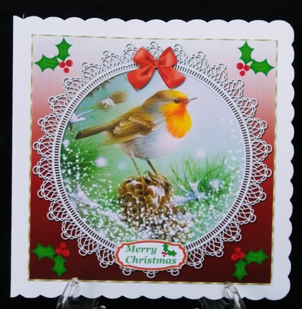 Red lace robin card front 2 by Suzi Cooper