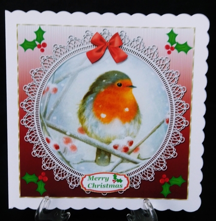 Red lace robin card front 3 by Suzi Cooper