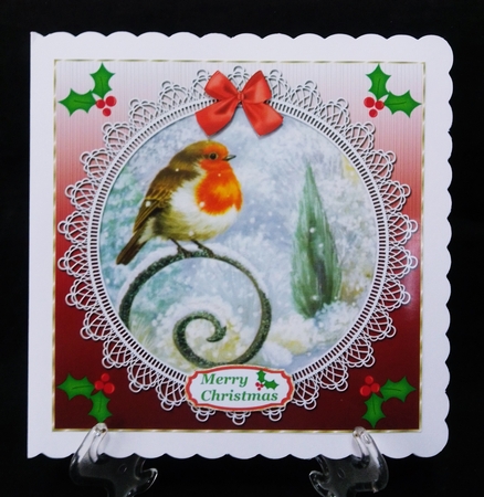 Red lace robin card front 5 by Suzi Cooper