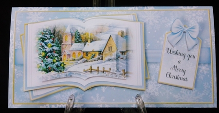Winter Scene DL 7 by Suzi Cooper