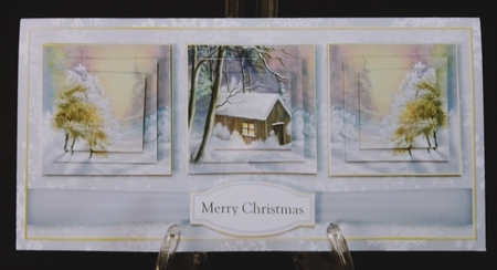 Winter Scene DL Bumper Kit 1 by Suzi Cooper