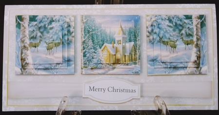 Winter Scene DL Bumper Kit 1 by Suzi Cooper