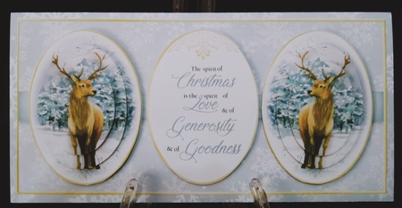 Winter Scene DL Bumper Kit 5 by Suzi Cooper