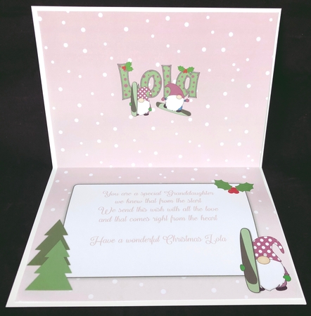 Christmas Gnomes snowboarding LOLA A5 insert by Suzi Cooper