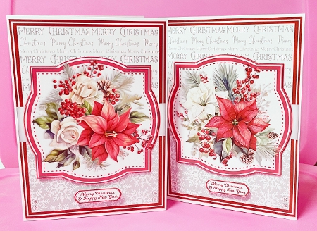 POINSETTIAS by Suzi Cooper