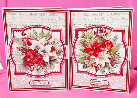 POINSETTIAS by Suzi Cooper
