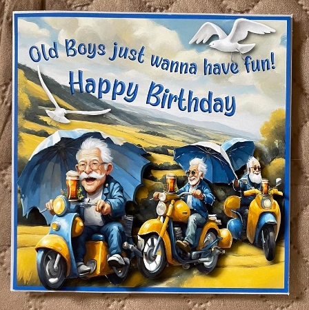 Old Boys Just Wanna Have Fun! by Suzi Cooper