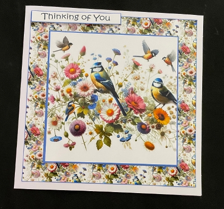 wild birds and flowers by Suzi Cooper