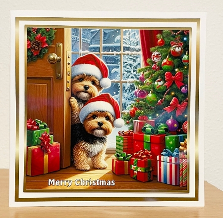 christmas peeping norfolk  terriers 1 by Suzi Cooper