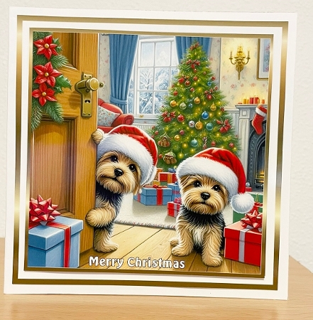 christmas peeping norfolk  terriers 2 by Suzi Cooper