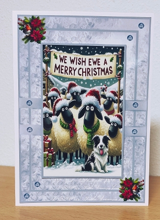 A5 christmas sheep by Suzi Cooper