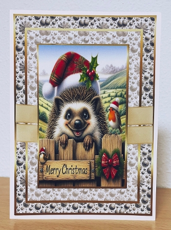 A5 christmas hedgehog by Suzi Cooper