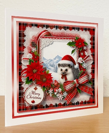hedgehog christmas by Suzi Cooper