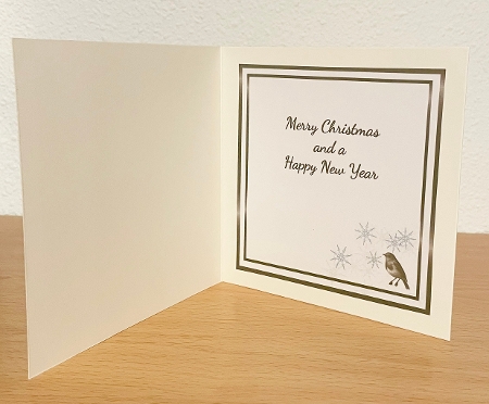 generic christmas insert 5 by Suzi Cooper