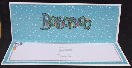 Merry Christmas Both of You Matching Large Dl Insert by Suzi Cooper