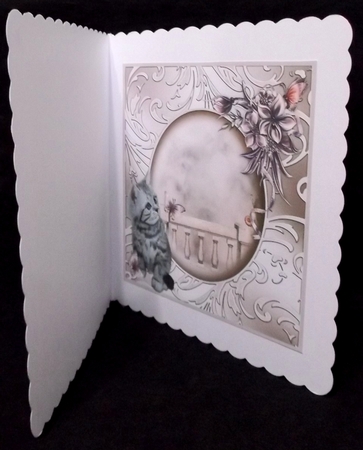 Insert to Compliment Watching Butterflies by Suzi Cooper